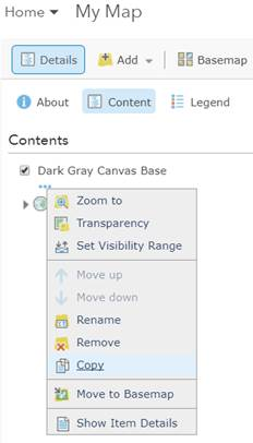 More Options for Dark Gray Canvas Base map style with Copy selected