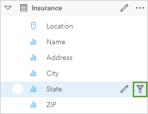 The Dataset filter button is accessed from the data pane.