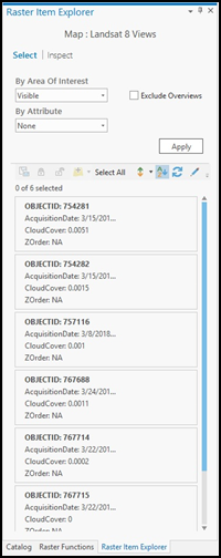 Bereich "Raster-Element-Explorer" – Registerkarte "Auswählen"