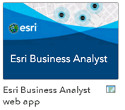 Business Analyst web app