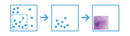 Dreiteiliges Diagramm mit Ergebnissen, die sich auf eine Reihe bestimmter Punkte beziehen