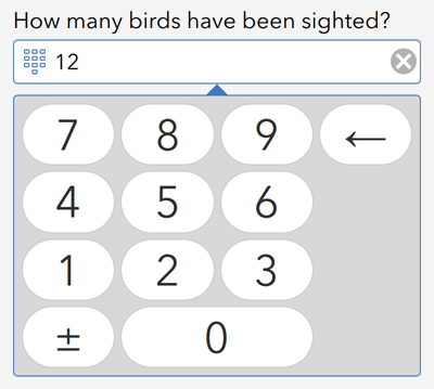 Aussehen "numbers" für Integer-Fragen