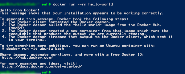 Beispielausgabe der Überprüfung der Docker-Konsole