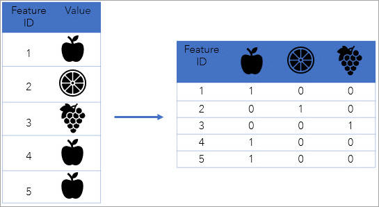 Encode Field tool illustration