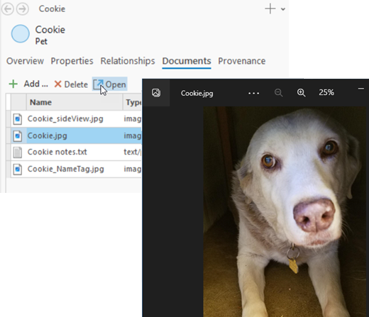 The document associated with the entity opens using an appropriate application. The document associated with the entity opens using an appropriate application.