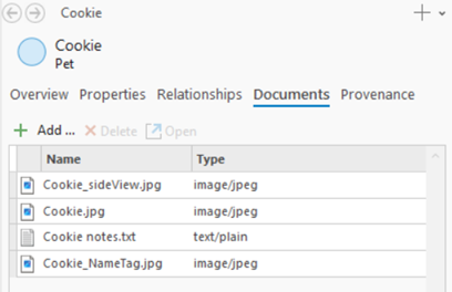 Documents associated with the current entity are listed on the Documents tab. Documents associated with the current entity are listed on the Documents tab.