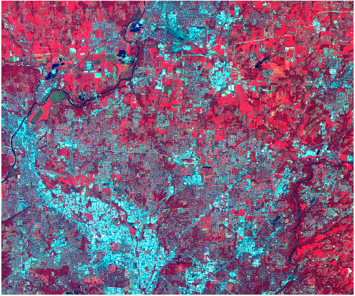 Input Landsat TM image Input Landsat TM image