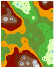 Interpolated elevation surface Interpolated elevation surface