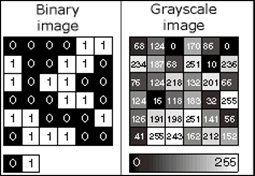 Binary and grayscale image pixels values Binary and grayscale image pixels values