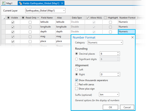 Numeric field formatting options Numeric field formatting options