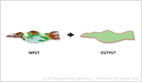 TIN Domain figure TIN Domain figure