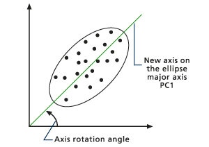 First principal component