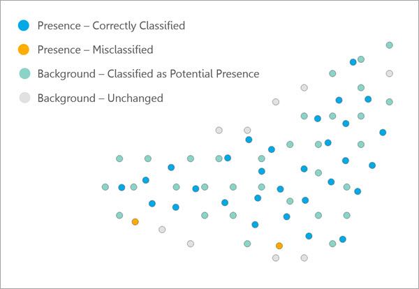 Separate spatial thinning applied to presence and background points