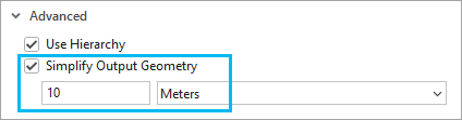 Travel mode property page showing the geometry simplification check box in value controls in the Advanced section