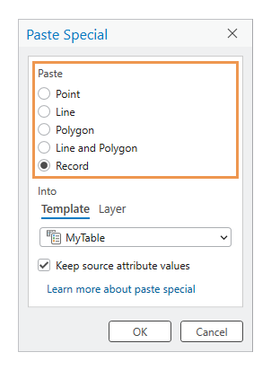 Paste Special feature choices