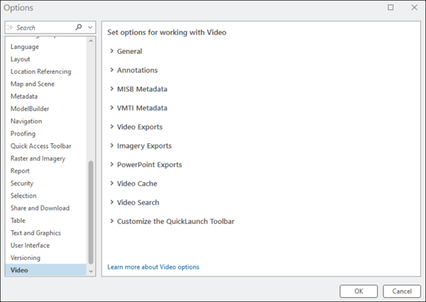 Project options for working with video