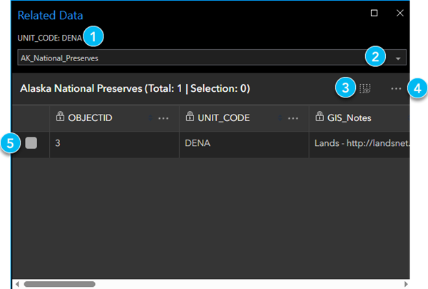 Related Data dialog box