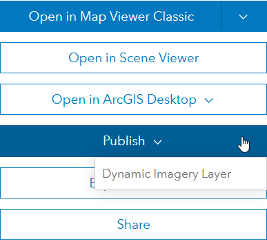 Publish a dynamic imagery layer from the item page of a tiled imagery layer.