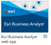 Business Analyst Web App