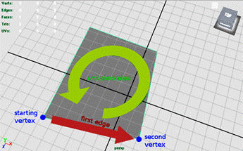 Polygons edge orientation