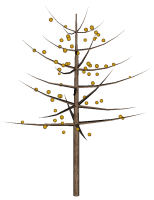 Tree model material split