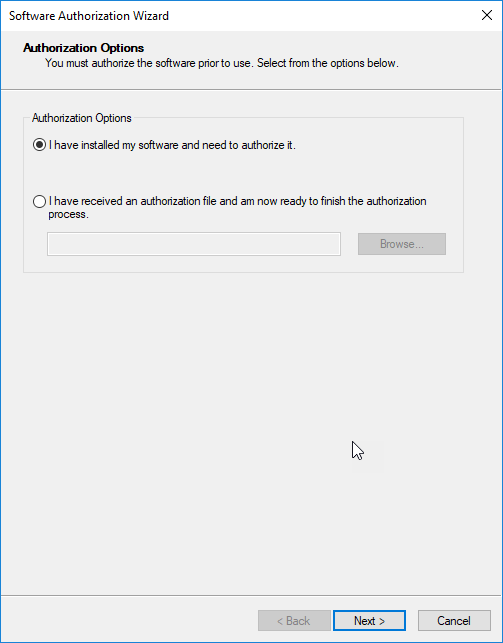 SAW Authorization Options wizard