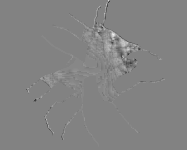 Gray scale delta map result