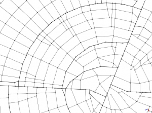 Radial pattern for both major and minor streets