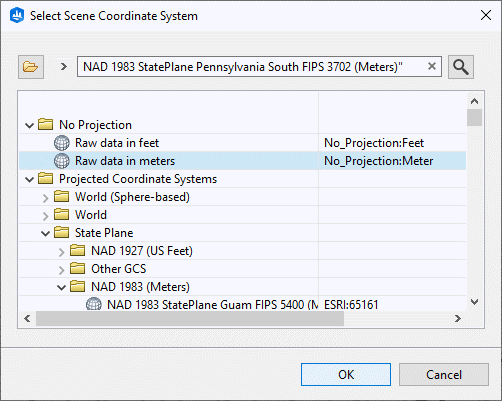 Raw data in meters scene coordinate system