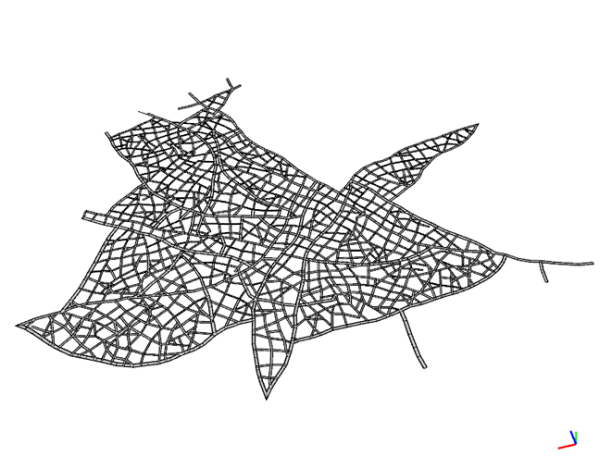 Organic pattern Organic pattern