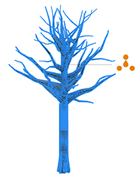 type=selector type=selector