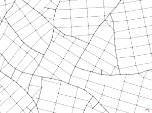 Organic major street pattern and raster minor street pattern Organic major street pattern and raster minor street pattern