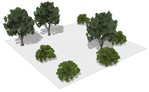 Import plants Import plants