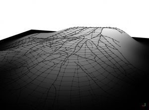 Adaption to elevation Adaption to elevation