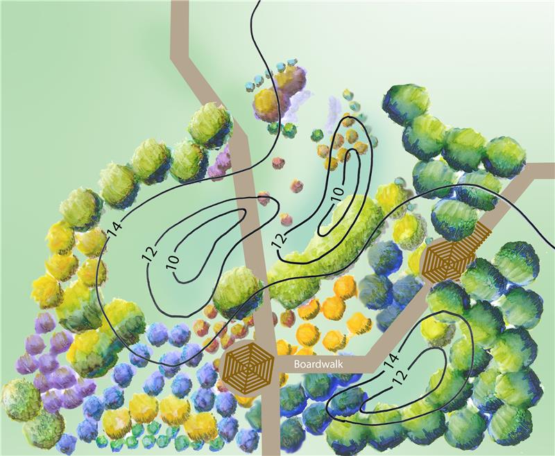 Rain Garden Design Rain Garden Design