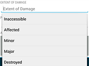 Extent of Damage choices