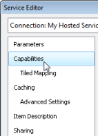 Service Editor Capabilities