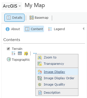 More Options list for Terrain layer