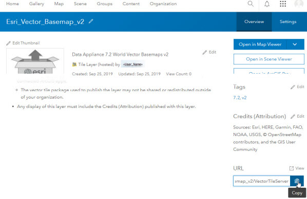 Esri Vector Basemap hosted tile layer with Copy button highlighted