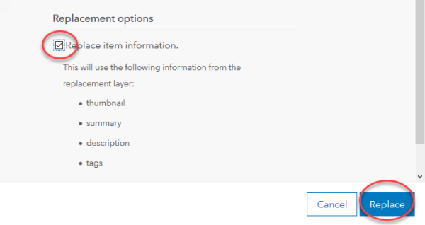 Replacement options with Replace item information checked