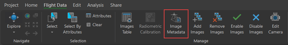 Image Metadata button