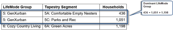 Table with example showing LifeMode Group 5: GenXurban