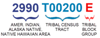 2990 American Indian, Alaska Native, Native Hawaiian Area code; T00200 Tribal Census Tract code; E Tribal Block Group code