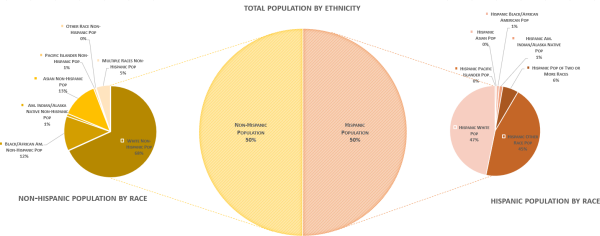 Total Population by Ethnicity pie chart