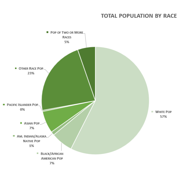 Total Population by Race pie chart