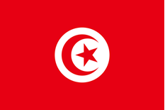 Flag of the Republic of Tunisia Flag of the Republic of Tunisia
