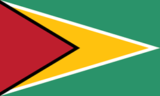 Flag of the Co-operative Republic of Guyana Flag of the Co-operative Republic of Guyana