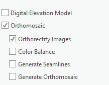 Screenshot of the orthomosaic options in the Custom wizard