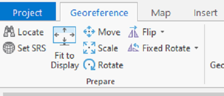 screenshot of the Georeference tab options