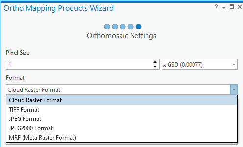 Screenshot of the Ortho Mapping Products wizard orthomosaic settings